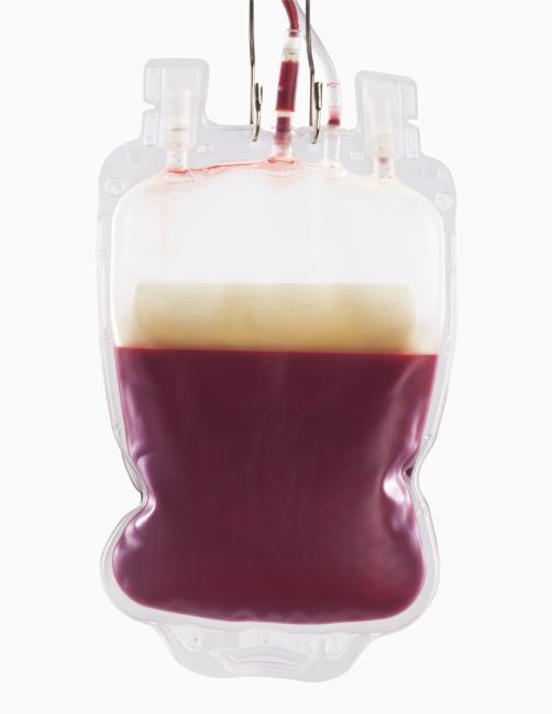A unit of red blood cells.