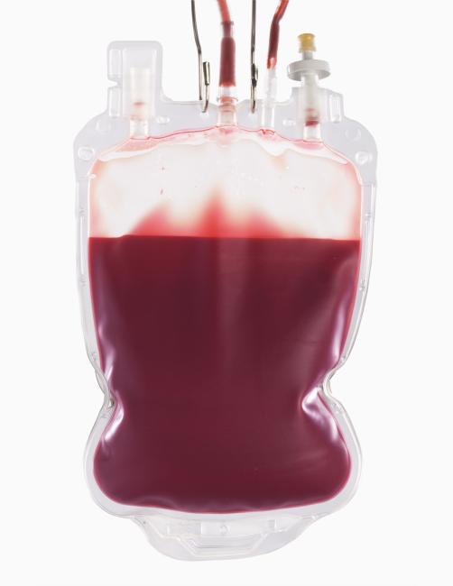 A unit of red blood cells.